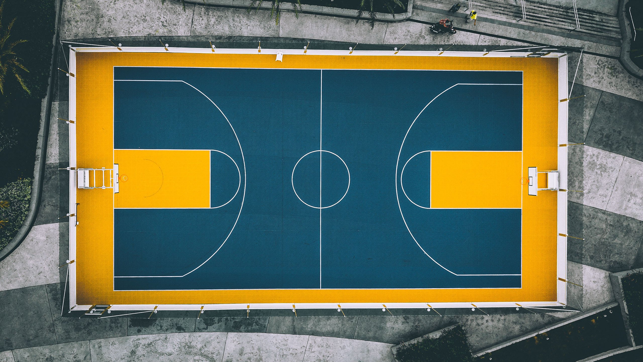 “你不知道的冷知识：NBA隐藏的小技巧”，nba教程